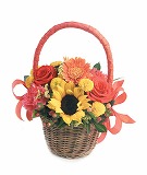 Basket arrange