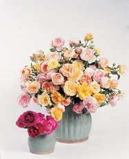 pink arrange